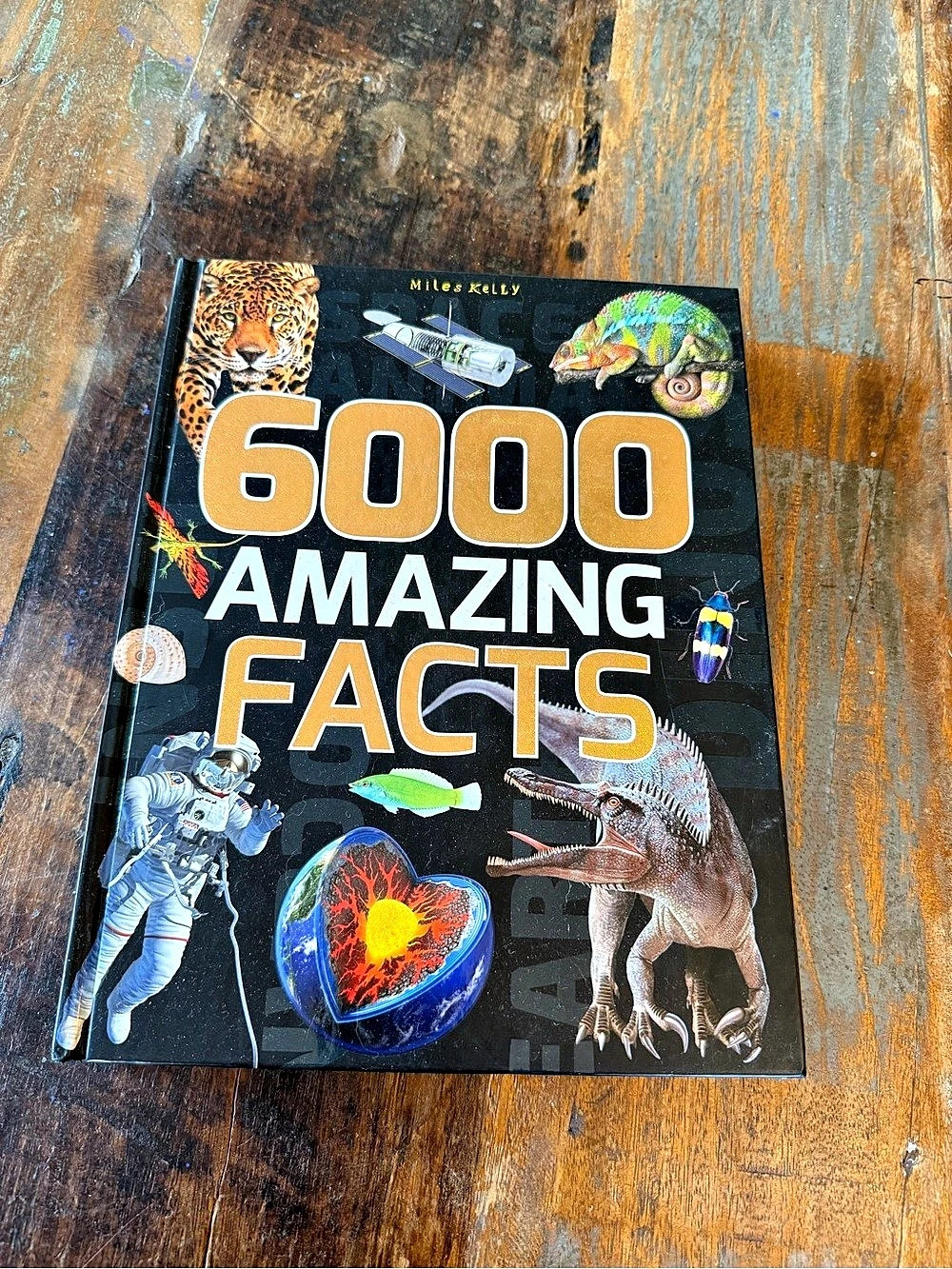 Miles Kelly 6000 Amazing Facts Educational Book in Black & Yellow